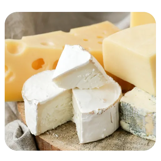 発酵プロセス制御