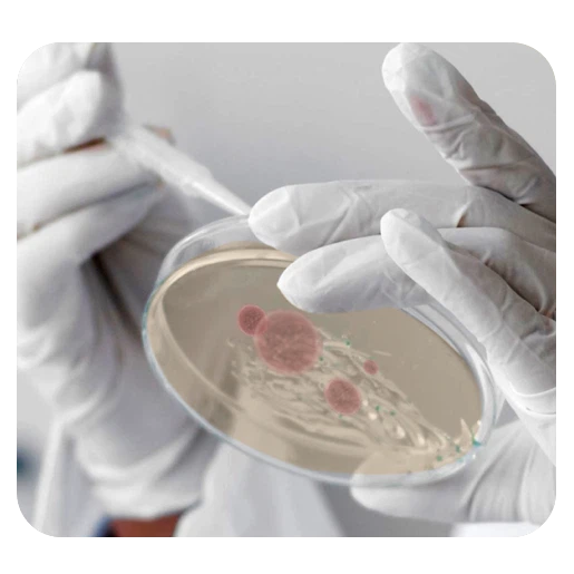 滅菌や不活性化などの特別な治療が可能