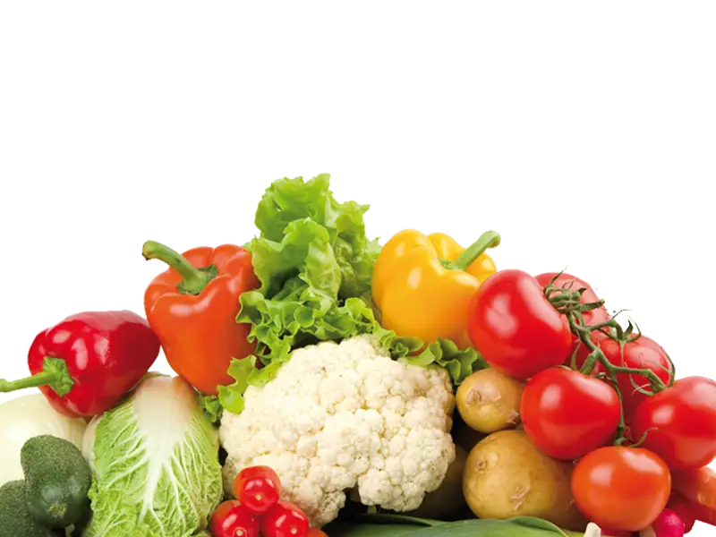 食品・飲料加工業界